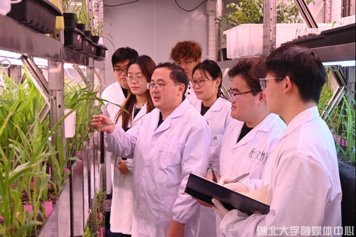 突破生物基材料新紀(jì)元 湖北大學(xué)獲國(guó)家重點(diǎn)研發(fā)計(jì)劃2386萬(wàn)元資助